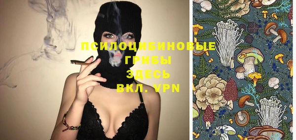 круглые Рославль