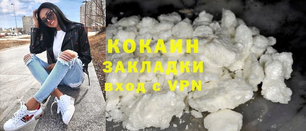 сатива Россошь