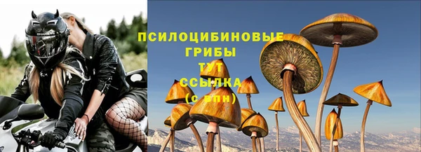 apvp Богданович