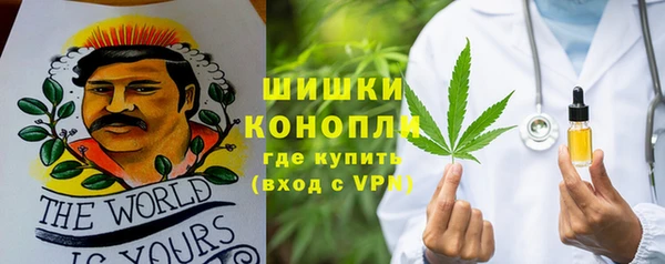 apvp Богданович