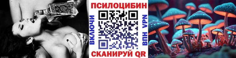купить закладку  Жирновск  Псилоцибиновые грибы Cubensis 